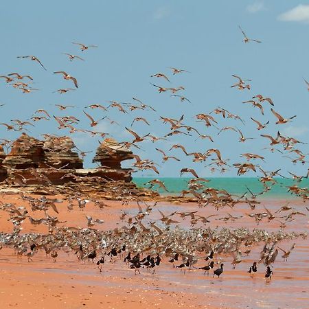 Broome Bird Observatory Ngoại thất bức ảnh