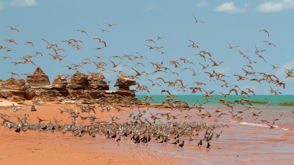 Broome Bird Observatory Ngoại thất bức ảnh